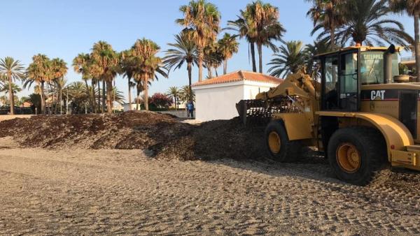 El Ayuntamiento de Marbella retira en un mes más de 750.000 kilos de algas de las costas del municipio El Ayuntamiento de Marbella retira en un mes más de 750.000 kilos de algas de las costas del municipio