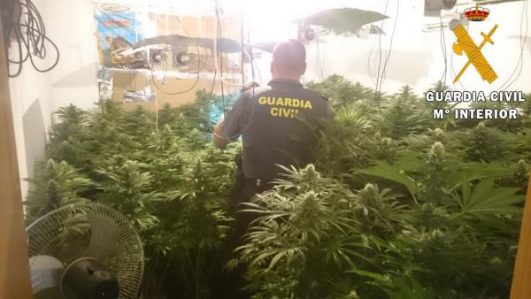 Plantación de marihuana en vivienda de Roquetas de Mar (Almería) Plantación de marihuana en vivienda de Roquetas de Mar (Almería)
