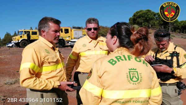 Efectivos de la Brigada Forestal de Tenerife Efectivos de la Brigada Forestal de Tenerife