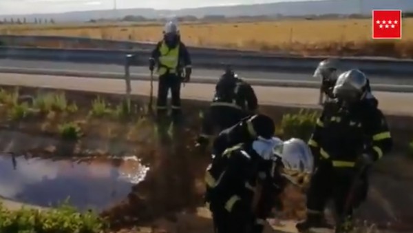 Bomberos de la Comunidad de Madrid intervienen para controlar una fuga de hipoclorito sódico tras el vuelco de un camión cisterna en la R2. Bomberos de la Comunidad de Madrid intervienen para controlar una fuga de hipoclorito sódico tras el vuelco de un camión cisterna en la R2.