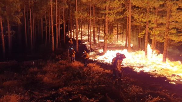 Incendios.- La Delegación del Gobierno pide el traslado a Gran Canaria de hasta 600 camas para atender a los evacuados Incendios.- La Delegación del Gobierno pide el traslado a Gran Canaria de hasta 600 camas para atender a los evacuados