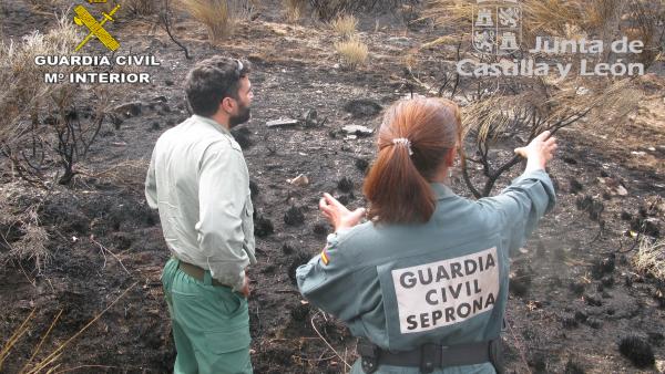 Incendio forestal en los montes de Paradilla de Gordón (León) el pasado 3 de agosto. Incendio forestal en los montes de Paradilla de Gordón (León) el pasado 3 de agosto.