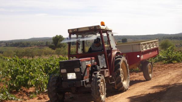 Tractor en una recogida de uva Tractor en una recogida de uva