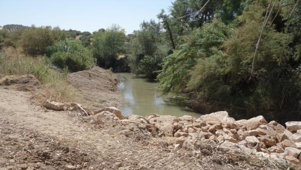 Río Salado en Luque Río Salado en Luque
