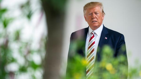Trump Trump