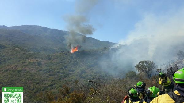 Incendio de Estepona Incendio de Estepona