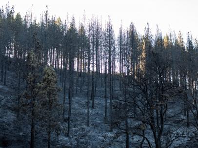 Barranco Los Pajaritos, en Gran Canaria, arrasado por el fuego