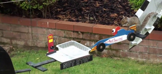 Ardillas - Últimas noticias de Ardillas en 20minutos.es