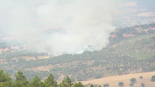Incendio forestal en Valverde del Fresno Incendio forestal en Valverde del Fresno
