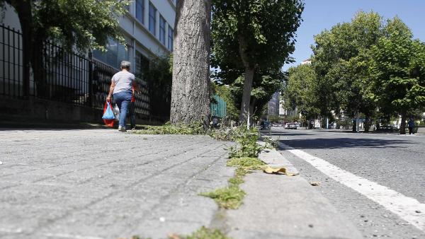 Presencia de malas hierbas en calles de A Coruña Presencia de malas hierbas en calles de A Coruña
