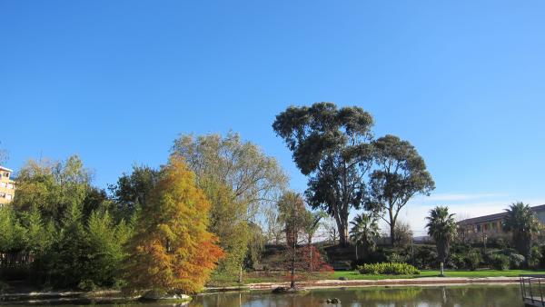 Cielos soleados en Barakaldo Cielos soleados en Barakaldo