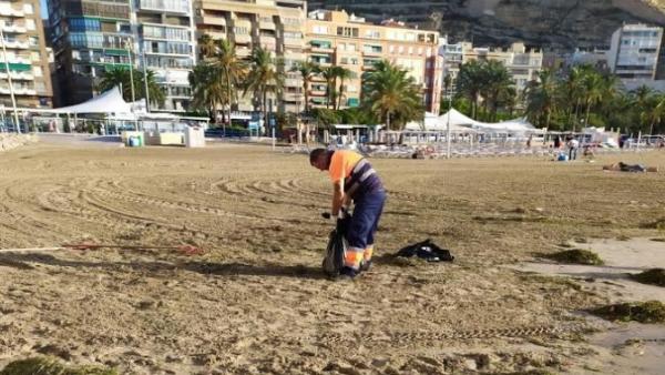 Un operario trabaja en la recuperación de la playa de Alicante tras el temporal Un operario trabaja en la recuperación de la playa de Alicante tras el temporal