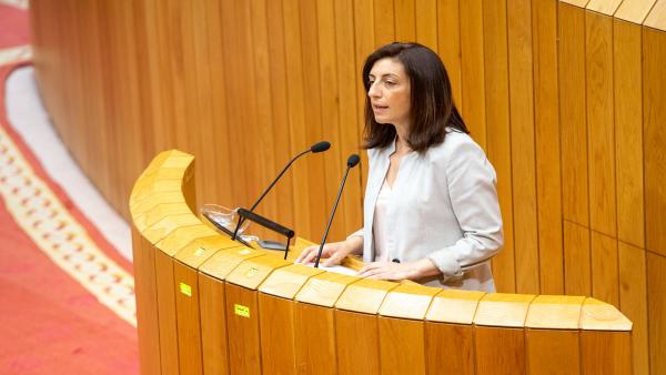 La conselleira de Medio Ambiente, Ángeles Vázquez, comparece en el Parlamento de Galicia para defender la nueva ley de patrimonio natural. La conselleira de Medio Ambiente, Ángeles Vázquez, comparece en el Parlamento de Galicia para defender la nueva ley de patrimonio natural.