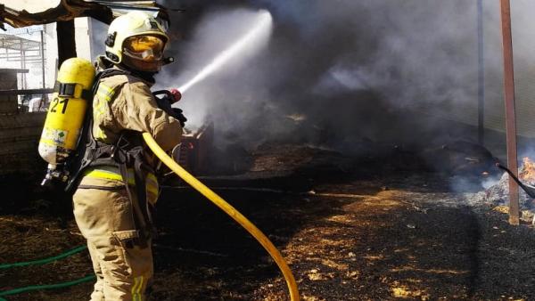 Un efectivo de los bomberos del Aljarafe durante el incendio de Coria Un efectivo de los bomberos del Aljarafe durante el incendio de Coria