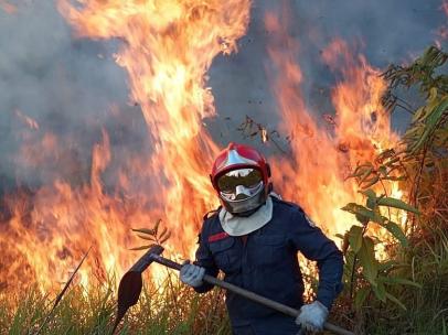 Incendios en la Amazonia