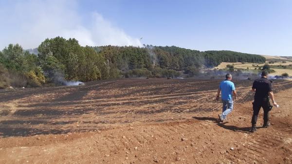 Incendio declarado en Fuente Dorada, en las cercanías de Burgos. Incendio declarado en Fuente Dorada, en las cercanías de Burgos.