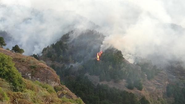 Incendio de Valleseco en la isla de Gran Canaria. Incendio de Valleseco en la isla de Gran Canaria.