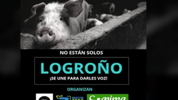 Logroño se suma a las movilizaciones contra el matadero de Binéfar Logroño se suma a las movilizaciones contra el matadero de Binéfar
