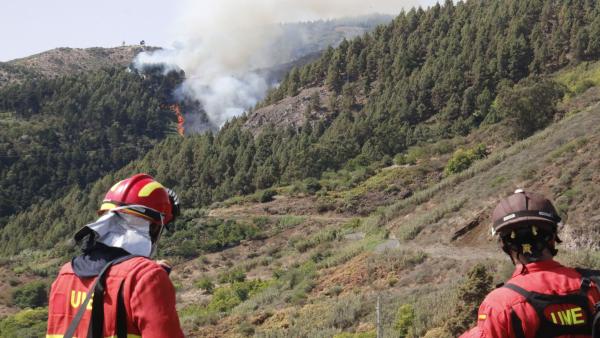 Segunda jornada del incendio de Gran Canaria Segunda jornada del incendio de Gran Canaria