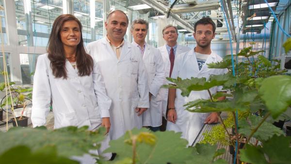 Científicos De La Universidad De Navarra Desarrollan Una Tecnología Para Fabricar Nuevos Fertilizantes Científicos De La Universidad De Navarra Desarrollan Una Tecnología Para Fabricar Nuevos Fertilizantes