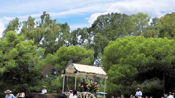 Cartel de la Romería de Alhaurín el Grande 2019 Cartel de la Romería de Alhaurín el Grande 2019