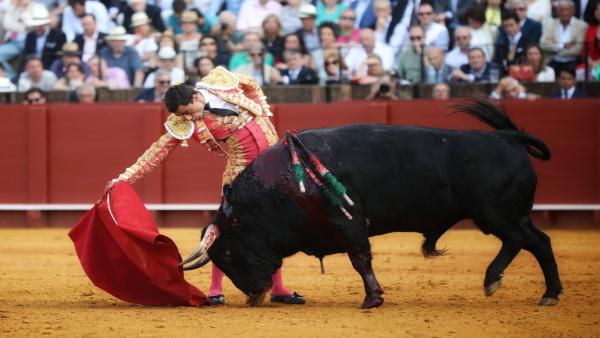 Corrida de abono de la Feria de Abril en la Real Maestranza de Sevilla. Derechazo del diestroPaco Ureña. Corrida de abono de la Feria de Abril en la Real Maestranza de Sevilla. Derechazo del diestroPaco Ureña.