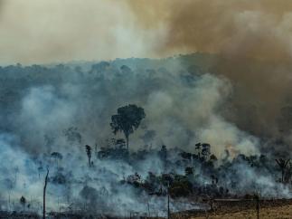 Amazonas