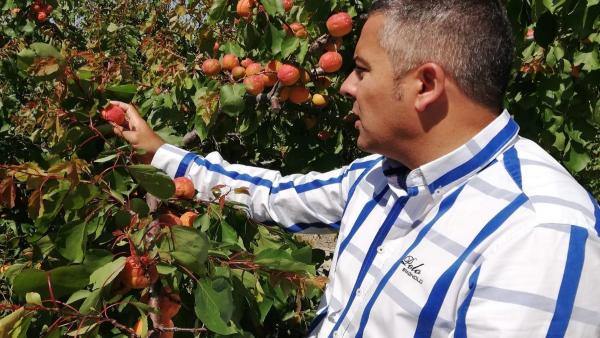 El diputado del Grupo Parlamentario del Partido Popular, Jesús Cano, visita una plantación El diputado del Grupo Parlamentario del Partido Popular, Jesús Cano, visita una plantación