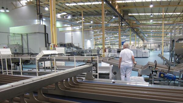 Una trabajadora del sector de la industria. Una trabajadora del sector de la industria.