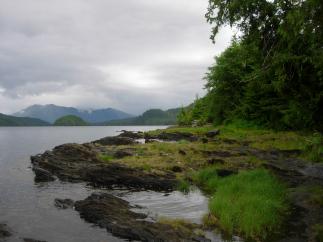 Bosque Nacional Tongass (Alaska)