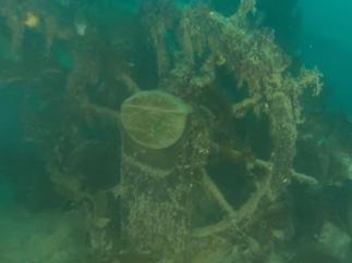 HMS Terror