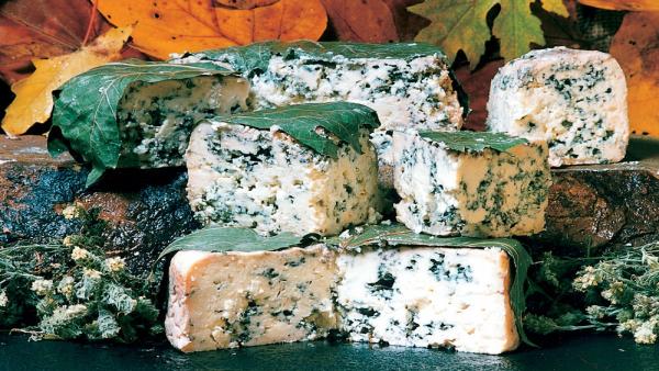 Queso Bejes-Tresviso, Picón Queso Bejes-Tresviso, Picón