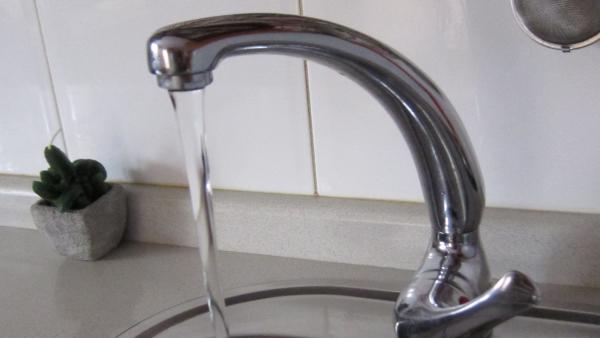 Grifo De Agua Grifo De Agua