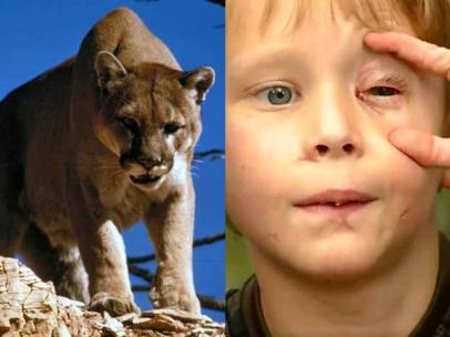 Imagen de Pike Carlson y un puma