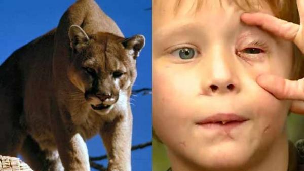 Imagen de Pike Carlson y un puma Imagen de Pike Carlson y un puma