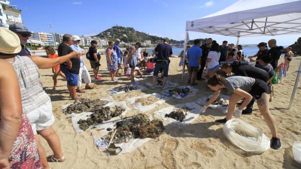 Voluntarios recogen basura en la playa de Sa Palomera de Blanes (Girona). Voluntarios recogen basura en la playa de Sa Palomera de Blanes (Girona).