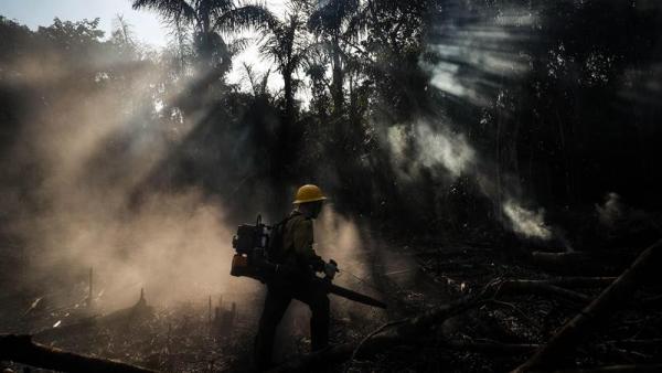 Incendio en el Amazonas Incendio en el Amazonas