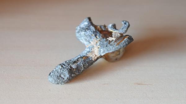 Imagen del amuleto romano en forma de falo alado que dataría del siglo I d.C. Hallado en la Bahía de Mazarrón Imagen del amuleto romano en forma de falo alado que dataría del siglo I d.C. Hallado en la Bahía de Mazarrón