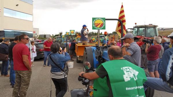 Un manifestante encima de un tractor en una marcha de Unió de Pagesos contra los bajos precios de la avellana Un manifestante encima de un tractor en una marcha de Unió de Pagesos contra los bajos precios de la avellana