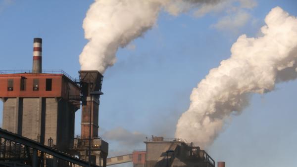 Contaminación Contaminación