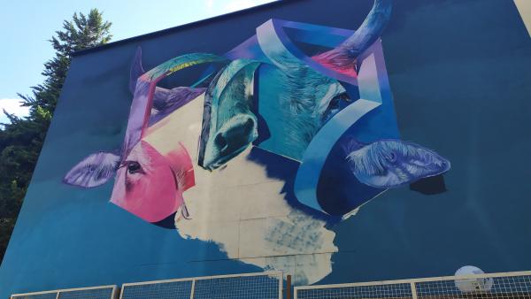 Las fiestas de San Mateo de Cuenca tendrán por primera vez un grafiti como cartel anunciador. Las fiestas de San Mateo de Cuenca tendrán por primera vez un grafiti como cartel anunciador.