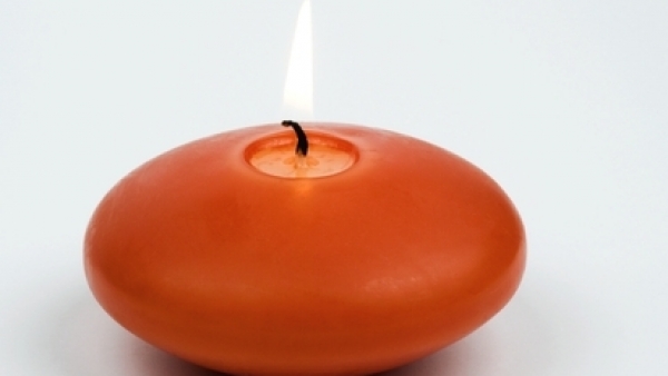 Vela Vela