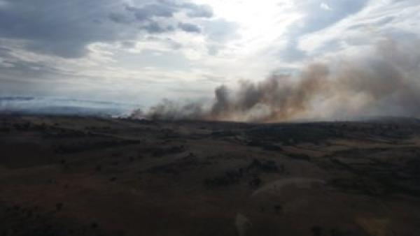 Incendio en Grisuela (Zamora). Incendio en Grisuela (Zamora).