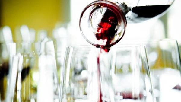 Vino Vino