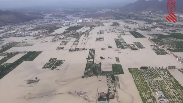 Inundaciones en Orihuela, campos anegados Inundaciones en Orihuela, campos anegados