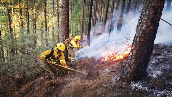 Efectivos de la BRIF de Puntagorda intervienen en las labores de extinción del incendio de Gran Canaria Efectivos de la BRIF de Puntagorda intervienen en las labores de extinción del incendio de Gran Canaria