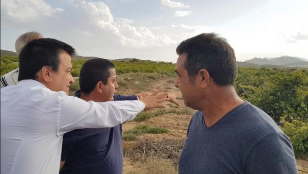 El consejero de Agricultura de C-LM, Francisco Martínez Guijarro, comprueba los daños de la gota fría en Fuente-Álamo. El consejero de Agricultura de C-LM, Francisco Martínez Guijarro, comprueba los daños de la gota fría en Fuente-Álamo.
