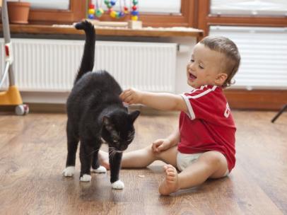 Un bebé y un gato