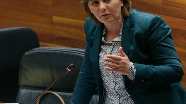 La consejera de Servicios y Derechos Sociales, Pilar Varela La consejera de Servicios y Derechos Sociales, Pilar Varela