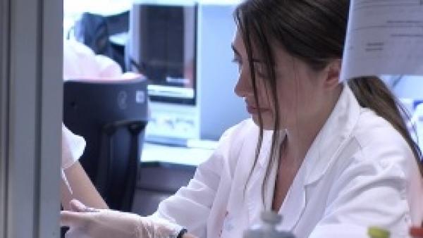 Hasta ocho estudiantes universitarios o recién titulados podrán realizar este verano prácticas en el Instituto de Investigación Marqués de Valdecilla (IDIVAL) y en el Instituto de Biomedicima y Biotecnología de Cantabria (IBBTEC) Hasta ocho estudiantes universitarios o recién titulados podrán realizar este verano prácticas en el Instituto de Investigación Marqués de Valdecilla (IDIVAL) y en el Instituto de Biomedicima y Biotecnología de Cantabria (IBBTEC)